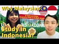 Why Malaysian Study in Indonesia? Kenapa orang Malaysia kuliah di Indonesia?