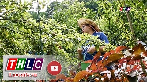 Kết đoàn: Chuyên đề nông dân (23/7/2022) | THLC