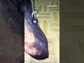 Stony Iron Meteorite 3.35kg/with fusion crust/looks like carbonado/rare/negotiable