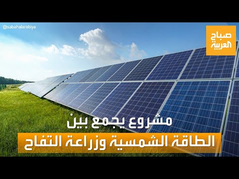 صباح العربية الأول من نوعه مشروع ألماني يجمع بين الطاقة الشمسية وزراعة التفاح