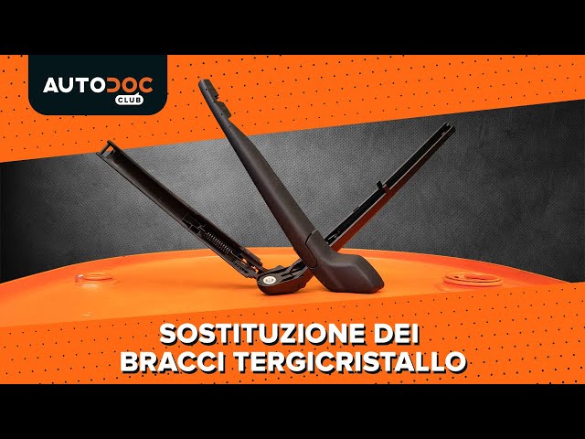 BRACCIO + SPAZZOLE TERGICRISTALLO POSTERIORE PER FIAT TEMPRA TIPO 1998