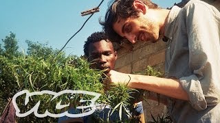 Swaziland: Gold Mine of Marijuana (Trailer)