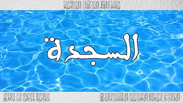 القرآن سورة السجدة ورش القارئ عبد العزيز الكرعاني 032