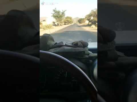 جيب ربع اليمن شاصات