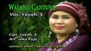 WALANG CANTUNG _ Yayah. S