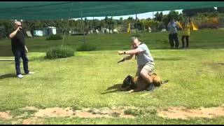 'Dancing with the k9' tactical movement hermiona k9