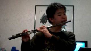 Many Meetings (LOTR) ~ Flute
