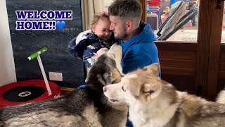 Baby Reunited With Her Huskies After Her First Day At School!🥰. [CUTEST REACTION!!]