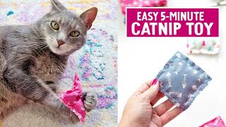 5 Minute Crafts  Easy Catnip Toy