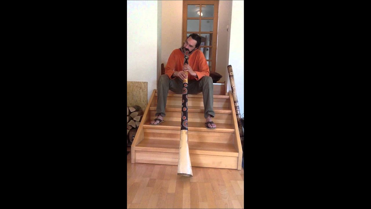 Eukalyptusdidgeridoo C2 Dotpaint
