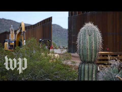 trump’s-border-wall-harms-the-environment,-activists-say