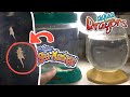 RAISING SEAMONKEYS & AQUA DRAGONS