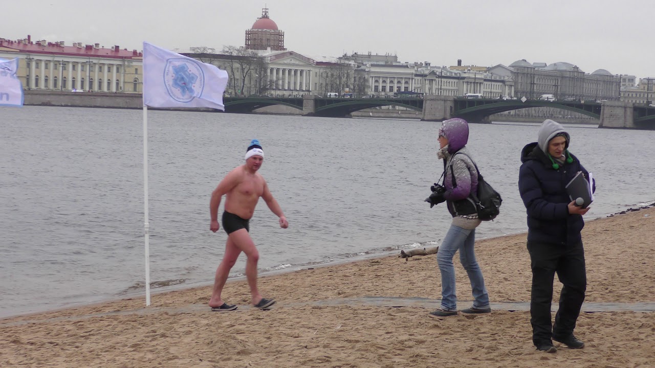 Моржи у петропавловской крепости