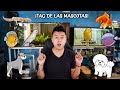 Mostrando mis MÁS DE 17 MASCOTAS - ¡TAG DE LA MASCOTA! | AcuariosLP