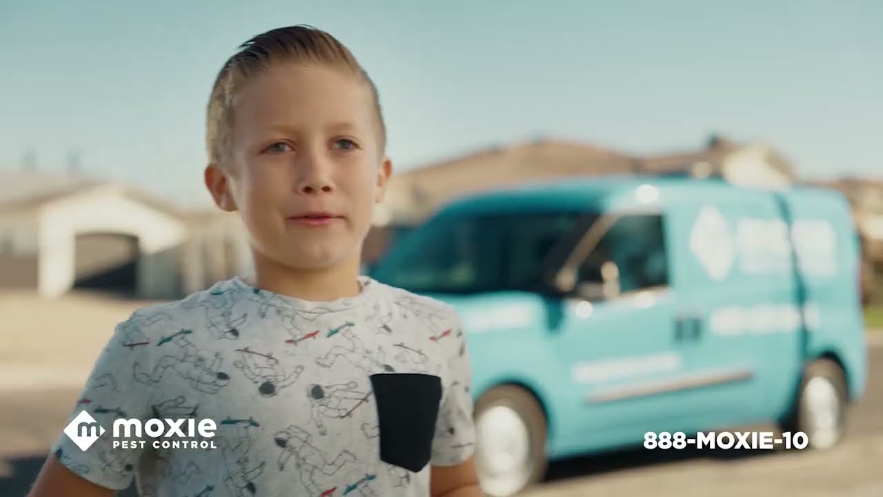 Moxie Pest Control: Cockroach Rescue