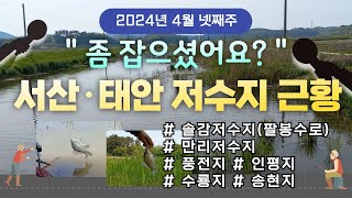 제7편_ 서산 태안 24년4월4째주 낚시터현황(솔감저수지,팔봉수로,풍전리,인평지,수룡지,송현지)