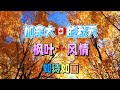 加拿大的秋天 枫叶 风情 如诗如画 仓央嘉措情歌 吉他 曲 纯音乐 完整版吉他演奏 曲木老表 加拿大的秋天 枫叶风情 仓央嘉措情歌 吉他曲 纯音乐 曲木老表演奏 加拿大的秋天 枫叶 风情 如诗如画 仓央嘉措情歌 吉他 曲 纯音乐 完整版吉他演奏 曲木老表 加拿大的秋天 枫叶风情 仓央嘉措情歌 吉他曲 纯音乐 曲木老表演奏