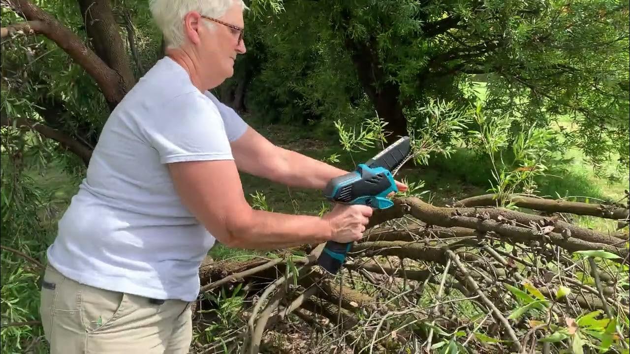 Check out this little Archer pruning saw YouTube