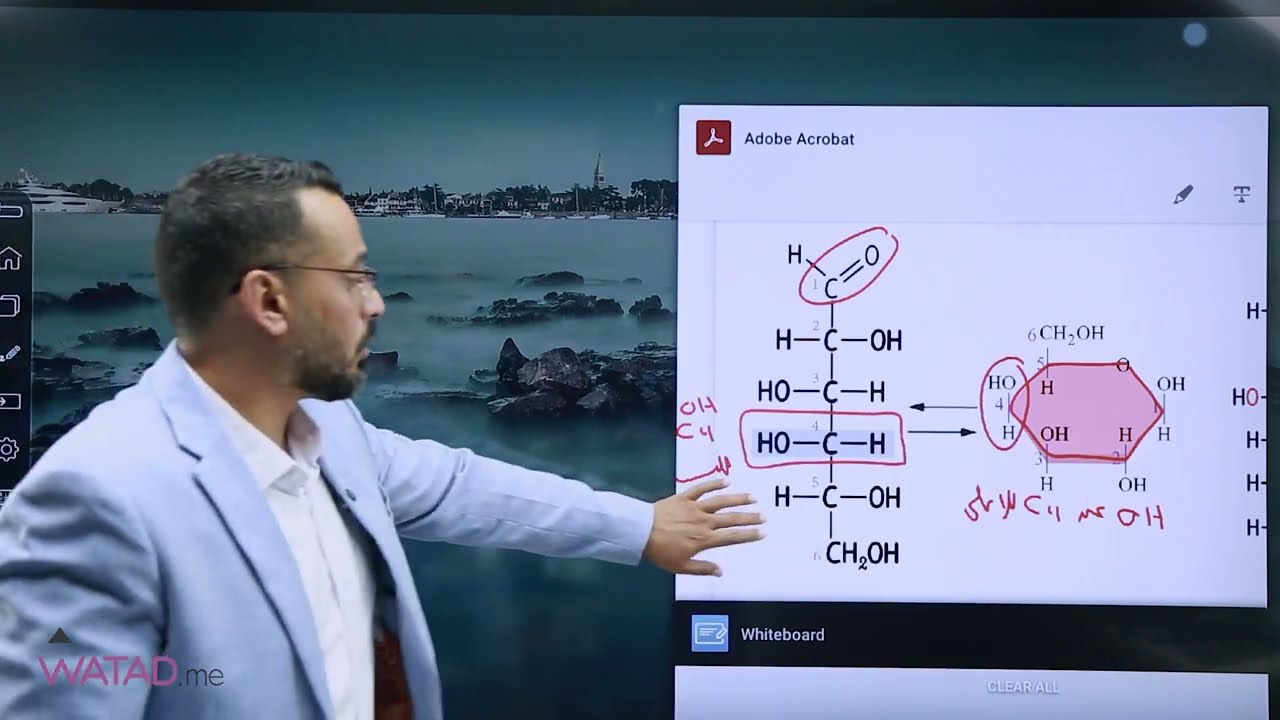 الحصة الثالثة من شرح الدرس الاول - مادة الاحياء - جيل 2008 - مع الأستاذ اسامة شعبان