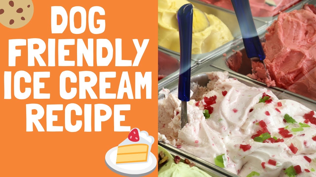 training pad holder walmart