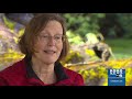 Can sunlight, heat and humidity kill coronavirus? | KOMO News Daily Digest