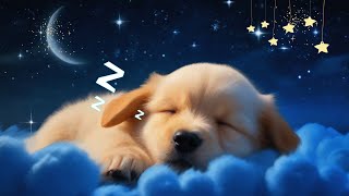 Fall asleep in 3 minutes, baby lullaby, rock and roll to sleep, cute pets sleep, baby sleep music_14