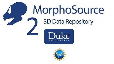 MorphoSource 2.0 Launch Welcome!