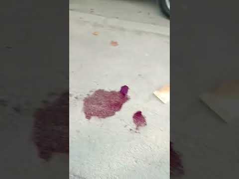 جريمة قتل في المغرب مدينة تيطوان 