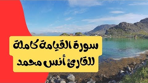 سورة القيامة كاملة للقارئ أنس محمد تلاوة خاشعة وهادئه للقرآن الكريم/ Surah(AlQiyamah)Anas Muhammad