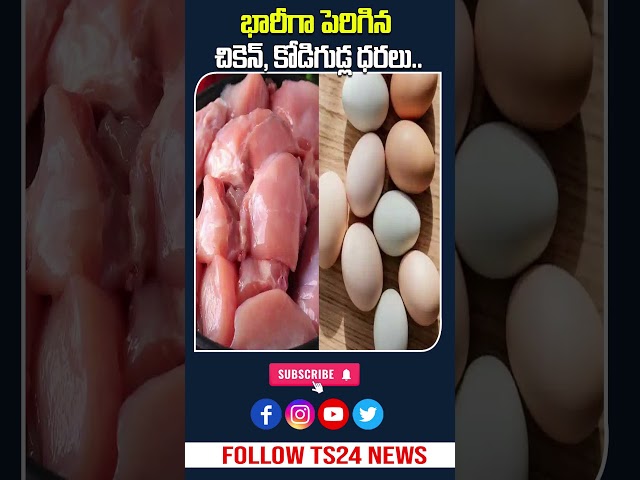 Breaking: Chicken Rs.260 | Egg Rs.8 | Market Price Today|TS24 News