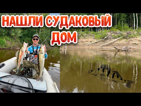 Это не коряги, а судаковый рай | Рыбалка на Чулыме 2023
