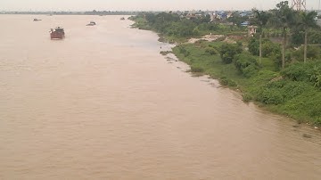 ║CLB câu cá thái bình║ -  Cần thủ săn thủy quái ở sông hồng dưới cầu tân đệ