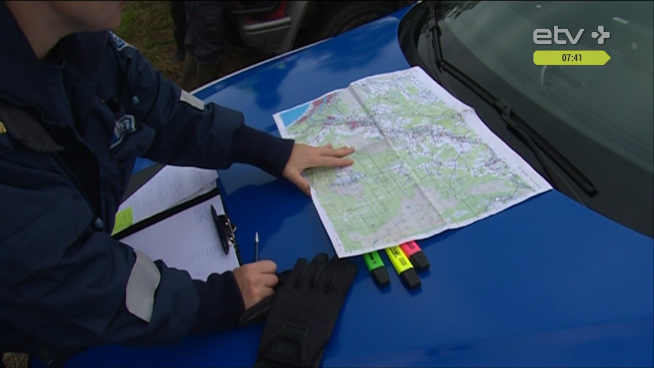 KatrinAlert: как найти пропавшего ребенка