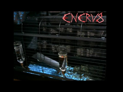 Enerv8 Rock Radio Live Music Stream
