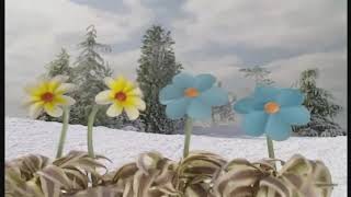 Teletubbies Christmas The Snow - Talking Flowers