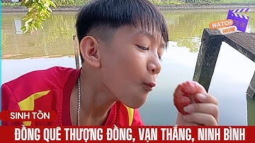 Cá vừa câu được đem nướng – Mùi thơm quê nhà khó quên @LaNguyenBaoTV