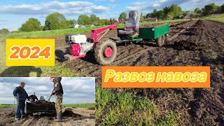 Вывоз навоза в огород, мотоблоком мтз 🚜