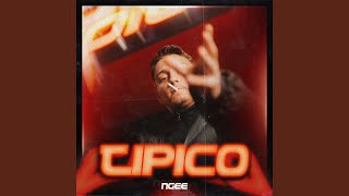TIPICO - NGEE