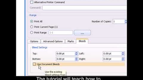 How to do Print settings, preview and quit in Publisher?