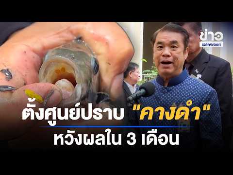 Task Force Established to Combat "Black Chin" Tilapia, Results Expected in 3 Months | Workpoint N...