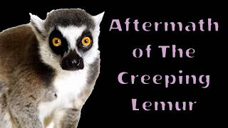 The Downfall of The Leaping Lemur