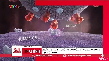 Xuất hiện biến chủng mới của virus Sars-CoV-2 tại Việt Nam | VTV24