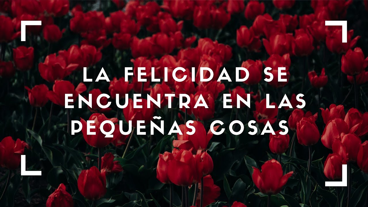 La felicidad se encuentra en las pequeñas cosas | Desarrollo Personal ...