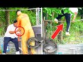 Escaped prisoner prank in the hood!