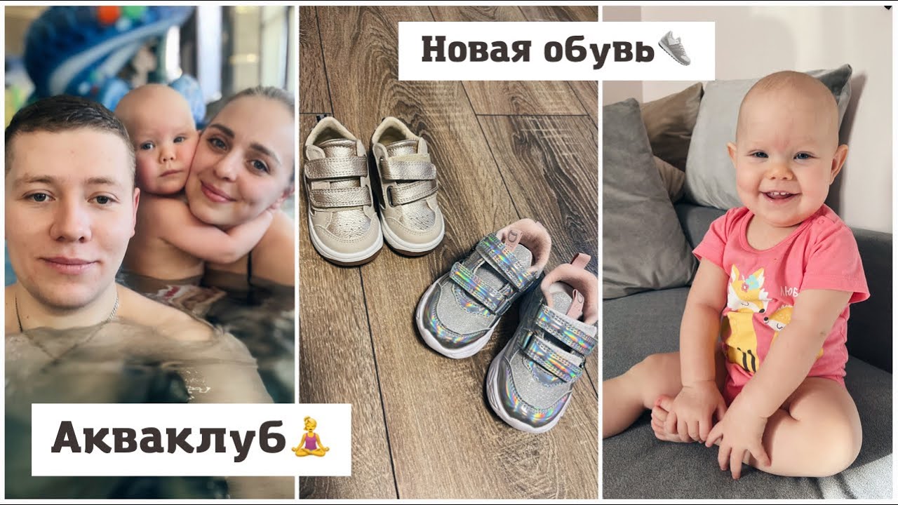 Мультимедиа алиса в машину Мультимедиа алиса в машину