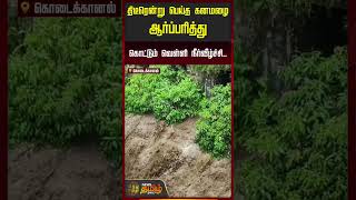 திடீரென்று பெய்த கனமழை ஆர்ப்பரித்து கொட்டும் வெள்ளி நீர்வீழ்ச்சி..!! Kodaikanal