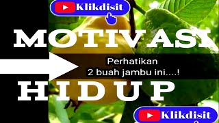 Nikmati Prosesnya Syukuri Hasilnya