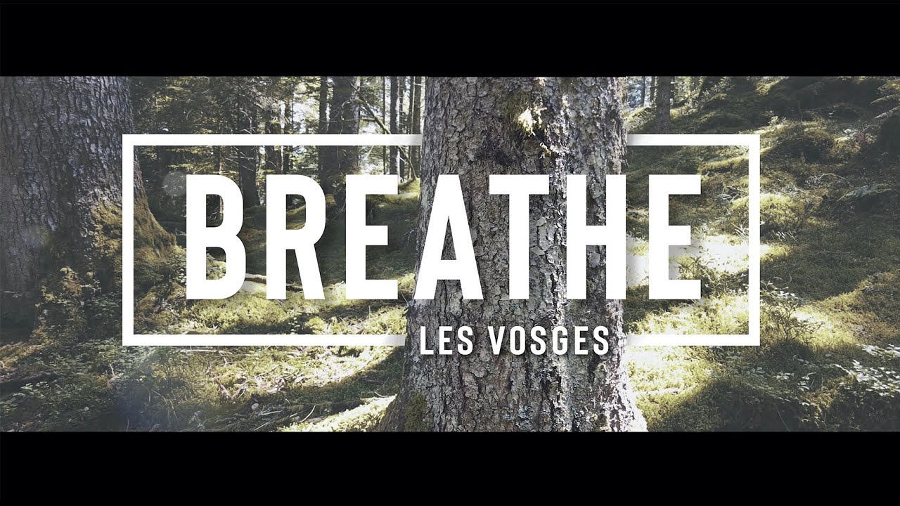 BREATHE  Les Vosges  / Drone DJI Mini 2 Cinematic 4K