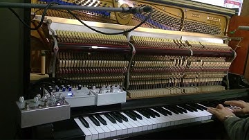 Echosystem, Reverb Empress, Microcosm Hologram Electronics and my piano!