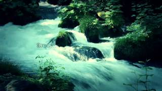 Мухаммад аль-Люхайдан, Сура ат-Тагабун